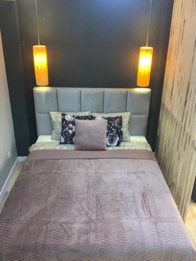 Petit Appartement Krakkó Kültér fotó